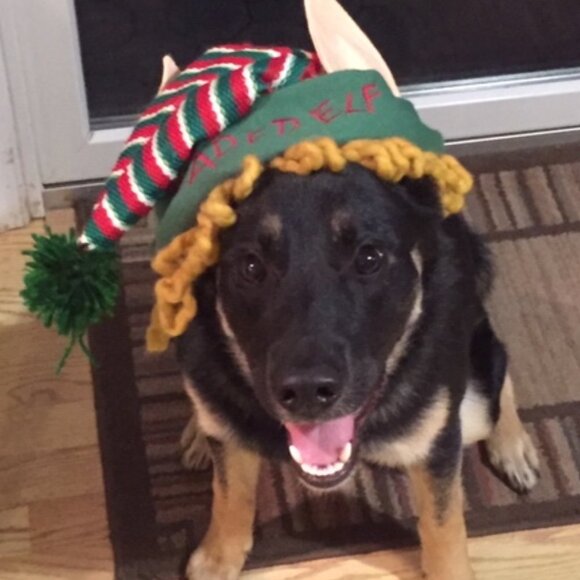 Offers welcome - Picture 2 of 2